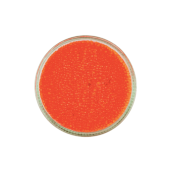 Caviale Vegetale Rosso di Alghe 100g | CaviArt - Alternativa Veg alle Uova di Pesce