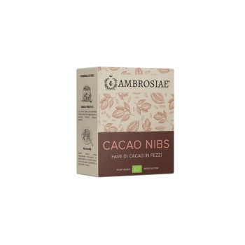Fave di cacao in pezzi
